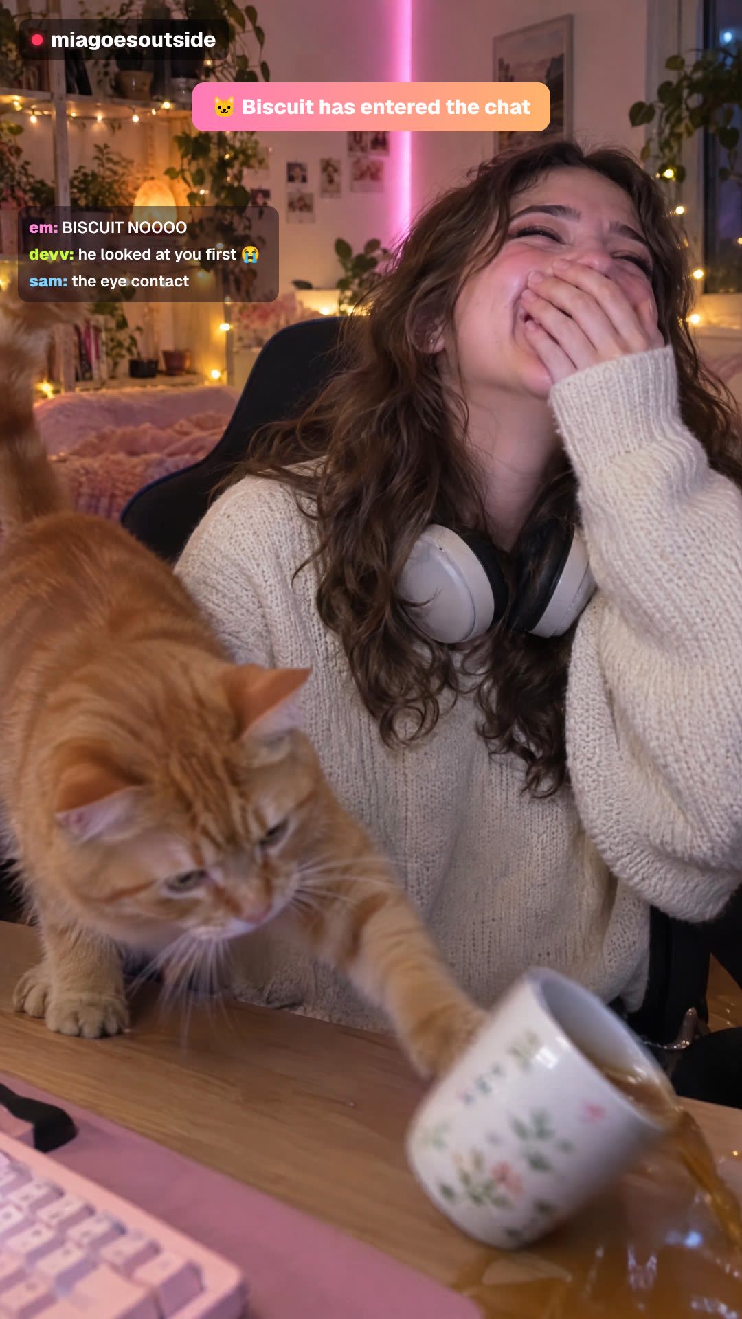 Example clip: an invented IRL stream moment with a dog, shown full frame